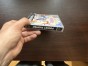 pocket fighter