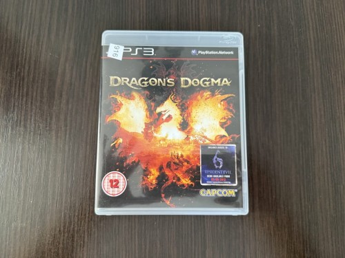 dragon’s dogma