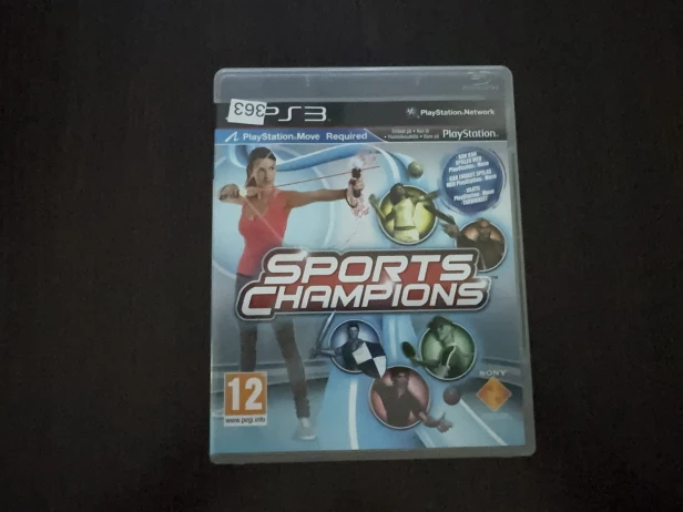 sports champions