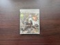 dragon’s dogma