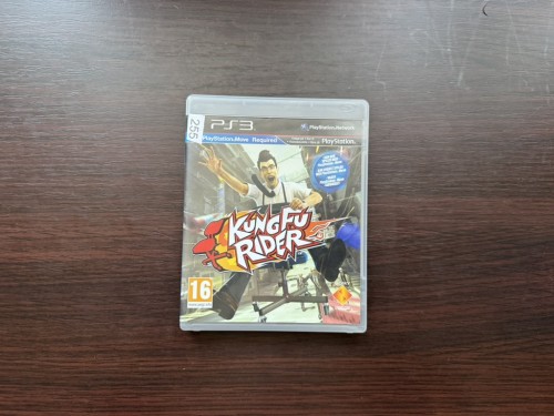 kung fu rider