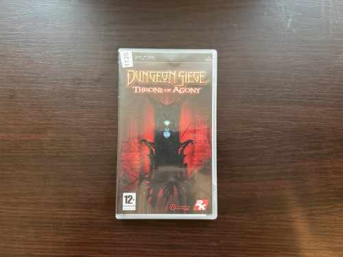 dungeon siege throne of agony