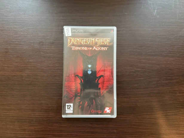dungeon siege throne of agony