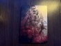 medal of honor warfighter steelbook