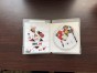 nhl 09