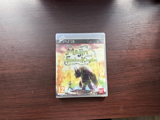 majin and the forsaken kingdom